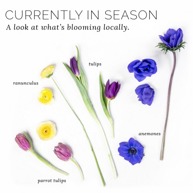 A Taproot Flowers marketing image - helping explain seasonality to its customers.