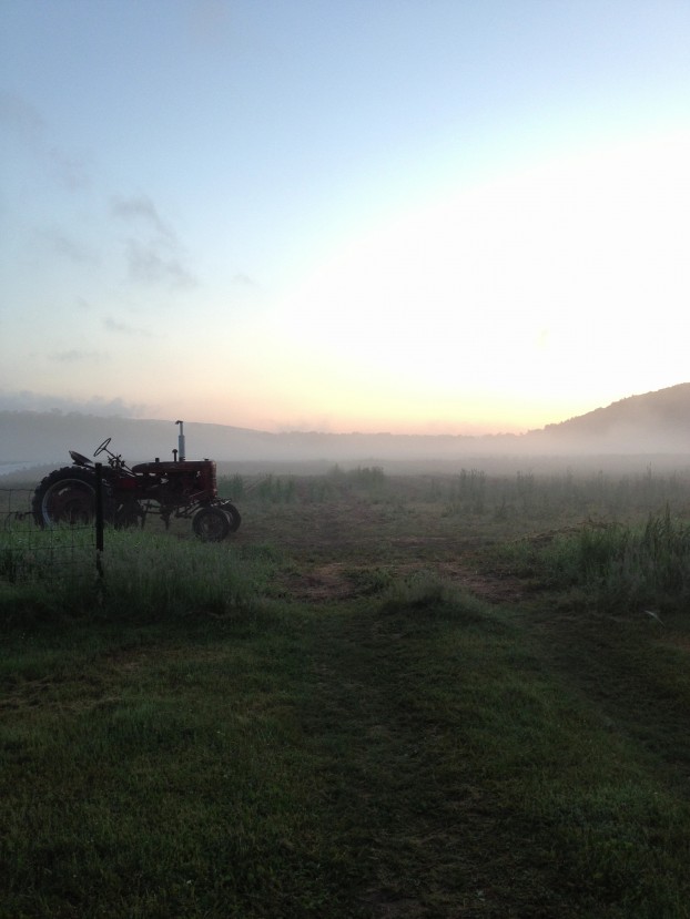 Place is so important to the story of the American flower farm. This scene helps us understand how valuable it is to preserve our agricultural places like the land where Tiny Hearts Farm is rooted.