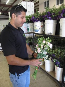 Tony shows off some of the fresh, just-picked flowers from Joseph & Sons' fields.