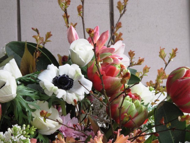 A close-up shows those tulips, anemones and the delicate azalea foliage.