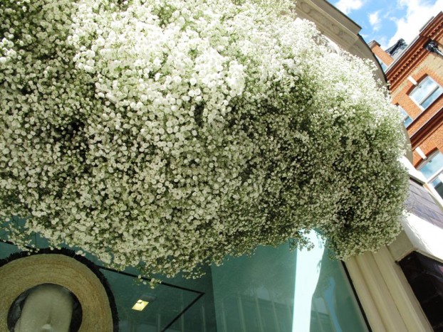 "Cloud" detail -- all baby's breath, beautifully rendered by Kate Spade.