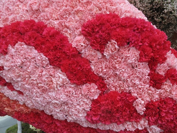 Color-blocking with carnations.