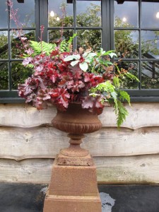Lovely spring urn with heuchera, ferns and more.