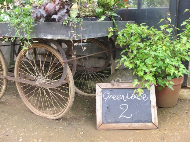 Plant displays on old carts - what's more perfect?