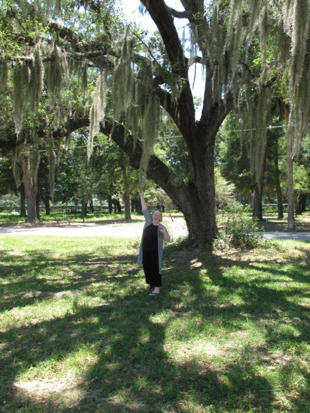 Under the live oak, as I attempted to reach the naturally draped Spanish moss.