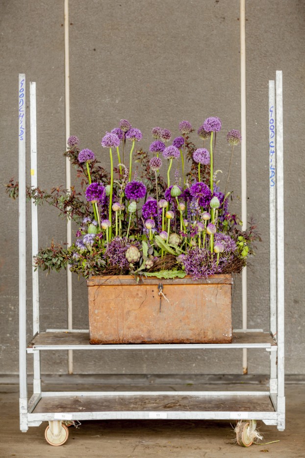 A Trunkful of Alliums by Bloomsbury Flowers L-0368