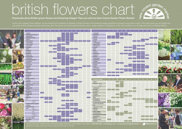 Seasonal Flower Chart of British Flowers -- a very useful marketing tool!