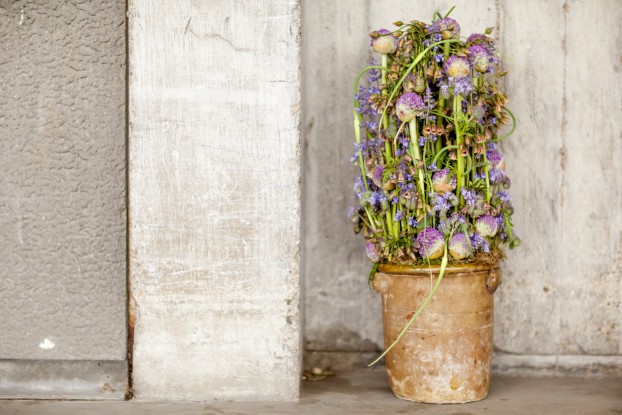 There is a distinct sense of the theatrical in the work of Stephen Wicks and Mark Welford of Bloomsbury Flowers. They celebrate the natural, organic beauty of flowers with their unpretentious design style with masculine twist. (c) Julian Winslow