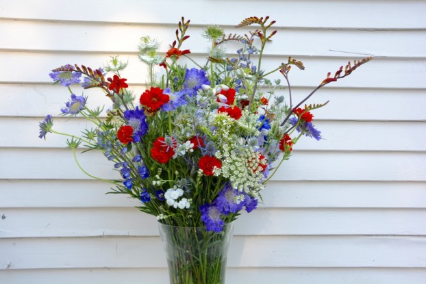 A profusion of red, white and blue annuals and perennials for July 4th (c) Tim Gleason