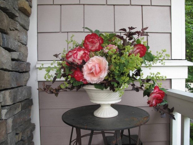 Steps three and four: Adding garden roses, a sweet pairing of a peachy-pink rose with a bicolored white-ruby rose. I inherited these two unknown roses when we moved to this garden four years ago.