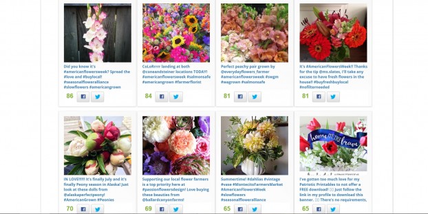 A sampling of the posts on Instagram and Twitter - all for #americanflowersweek