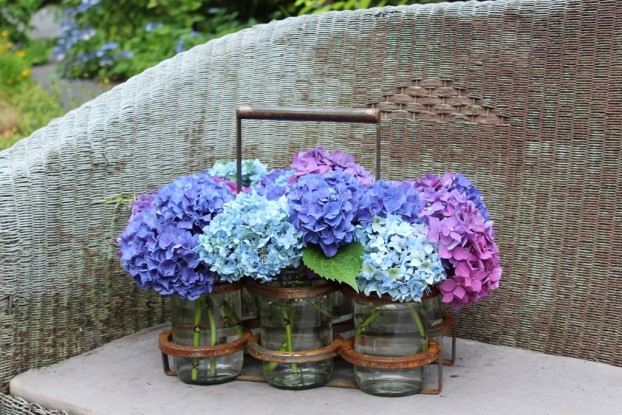 Ready to be carried to my new home in this amazing steel floral caddy, complete with six jars of hydrangeas.