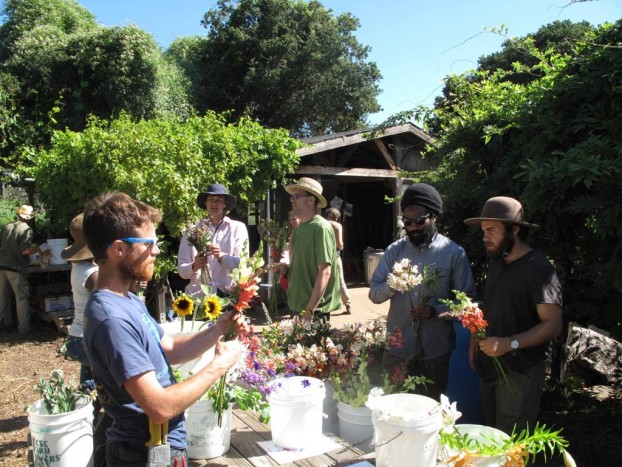 2015 UCSC Apprentices gather to make beautiful summertime bouquets from flowers picked only moments earlier.