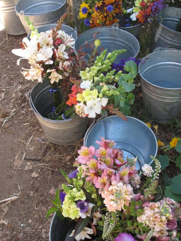 Buckets of Santa Cruz flowers, ready for designing.