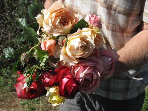 Christoph Berneau holds in his hands, a bunch of beautiful, organic, just-picked roses from UCSC's flower fields.  