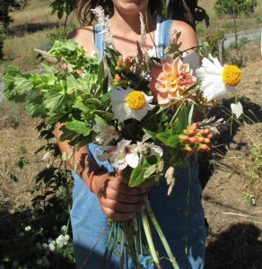 Haley's impromptu bouquet that features just-picked cultivars and items foraged from Rooster Ridge.