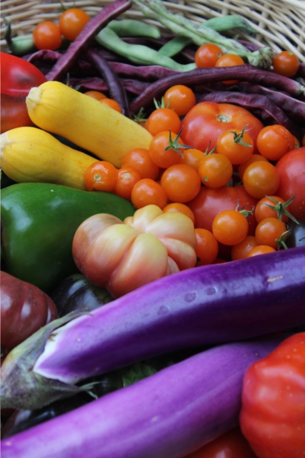 A rainbow of just-harvested organic veggies from the White House Kitchen Garden, just steps from the First Family's residence!