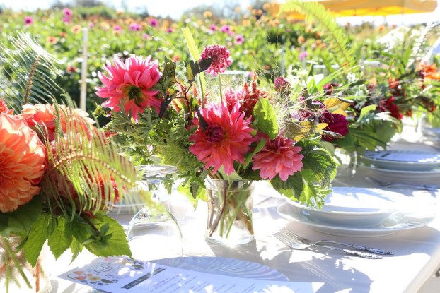 Melissa Feveyear of Terra Bella Flowers used Syndicate's "Gathering Vase" for the tables at the Field to Vase Dinner Tour held on Jello Mold Farm in Mt. Vernon, Washington