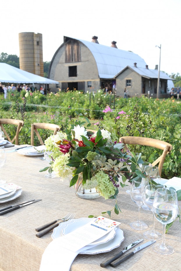 From Field to Vase, with LynnVale Farm and Studios' amazing barn in the backdrop (c) Linda Blue