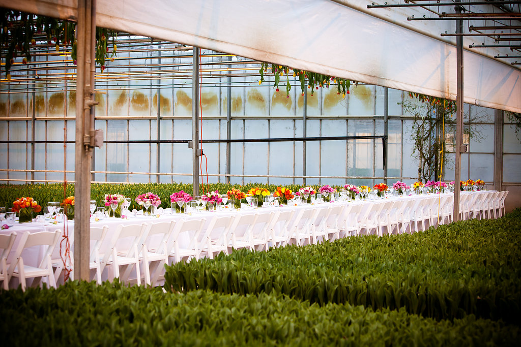 What a stunning installation, transforming a working greenhouse into a glorious dinner party setting at Sun Valley Flower Farm (c) Amy Kumler