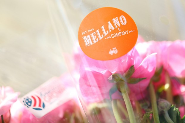 Mellano & Co. is a Certified American Grown flower farm.