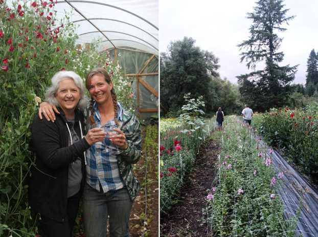 Erin and I had our wine glasses in hand as we toured the sweet pea high tunnel (left); after dinner, we toured the lower fields