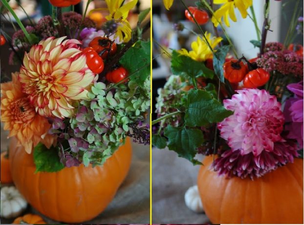 Use everyday pumpkins as vases for seasonal flowers. Deb Bosworth of Dandelion House Flower Farm in Plymouth, MA. 