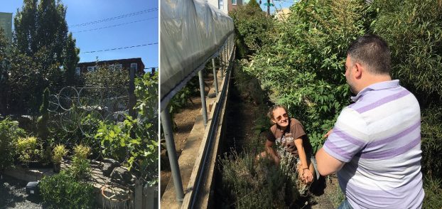 I snapped these photos in September when I spent a morning with Dan Fingerhut and followed him to one of the urban farms that supply his bouquets.