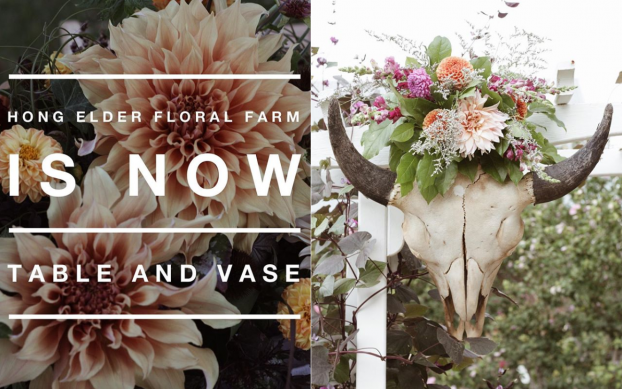 Fraylick Farm - How to Achieve the Best Vase Life Out of Your Dahlias