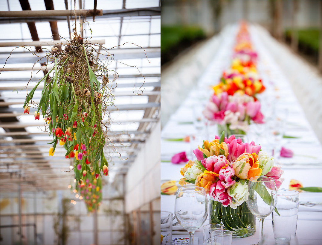 Faye's concept for the installation was Tulips + Bulbs overhead as the chandelier and color blocked tulips in vases down the center of the table (c) by Amy Kumler