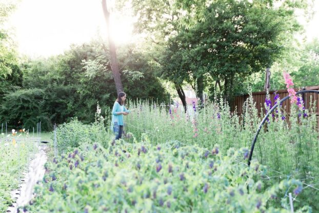 Sarah Jo Eversole at Everbloom Fields