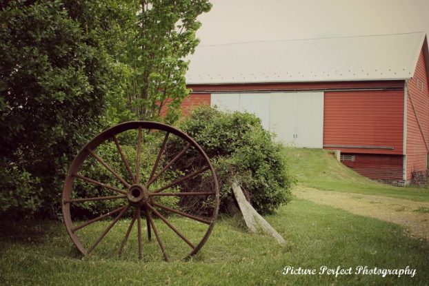 The farm's historic "bank barn."