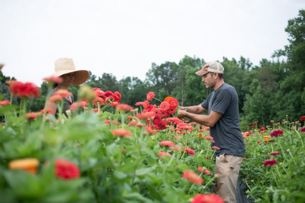 Georgia flower farmers Mandy and Steve O'Shea (c) Brittany Towsell