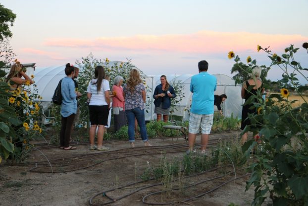 Meg (center) led a tour of her fields and high tunnels for our Slow Flowers Colorado Meet-Up guests.