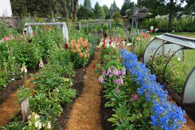 beautiful flower rows at Celebrate the Seasons in Bend, Oregon