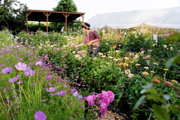 Sweet Delilah Farm on Portland's Sauvie Island