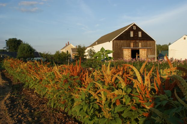 Broadturn Farm, Scarborough, Maine