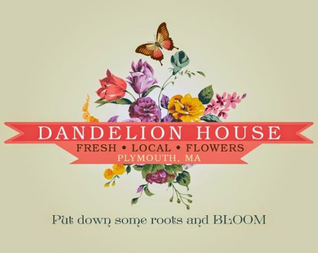 Today's guest is Debbie Bosworth, owner of Dandelion House Flower Farm in Plymouth, Massachusetts