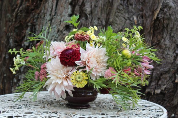 My arrangement, in Syndicate Sales' black cherry bowl. The palette inspired me to pick dahlias, grevillea blooms, zinnias and alstroemeria in the same color family.