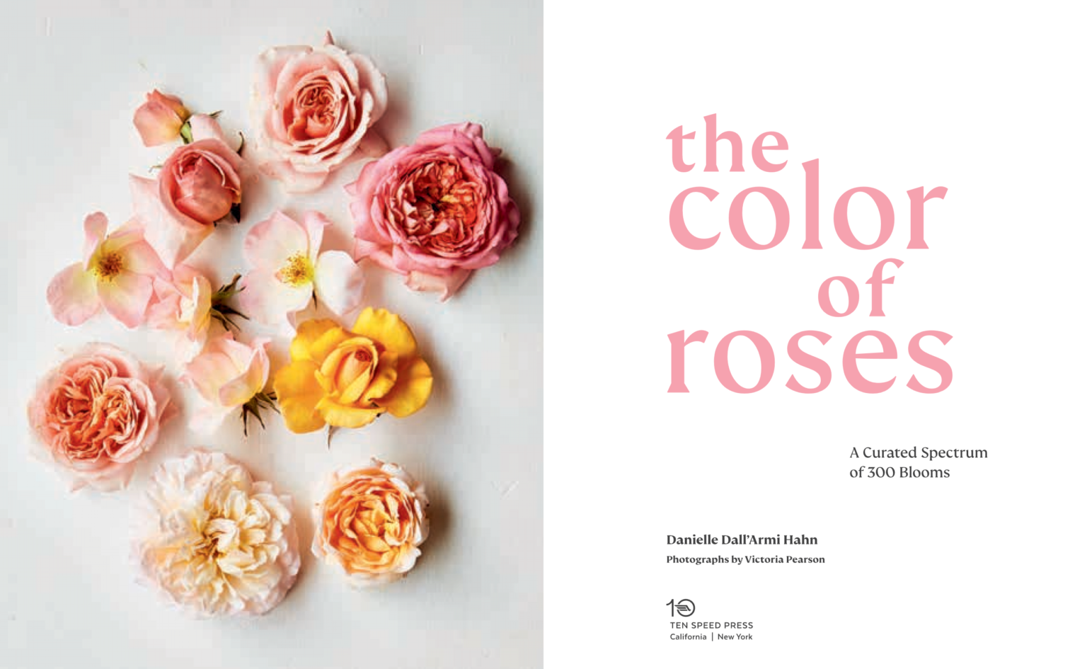Episode 605: The Color of Roses with Rose Story Farms' Danielle Hahn ...