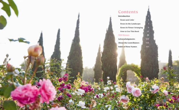 table of contents The Color of Roses