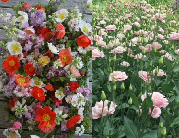 Event flowers and lisianthus