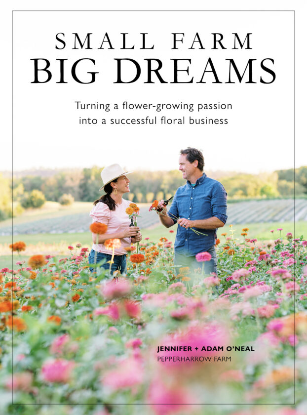 Small Farm, Big Dreams book jacket artwork