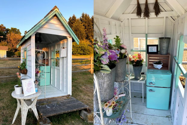 The tiny flower stand at Marmol Farm