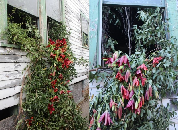 Here's a peek at the exterior detail we discussed ~ as the vegetation and flowers from David and Daevid's interior space "grows" through the windows as if nature took over.