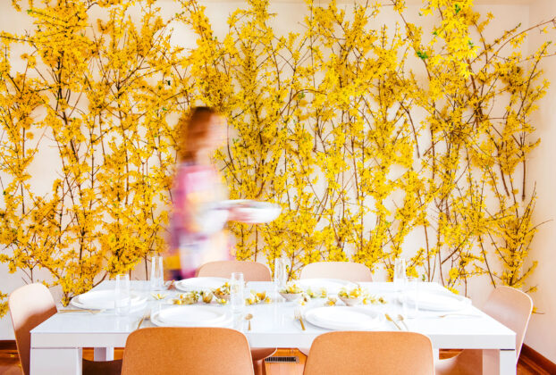 Forsythia Bloom Room from Flowers for All