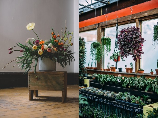 Flowers (left) and Plants (right) at Jessica Douglass's cool flower & plant shop in downtown St. Louis, called "Flowers and Weeds."