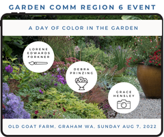 GardenComm Color in the Garden