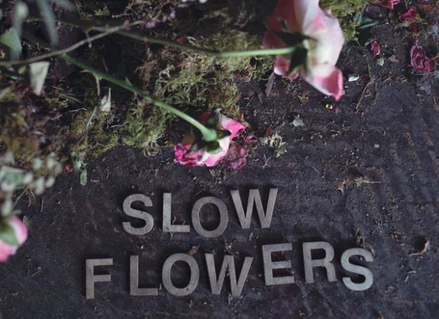 Heather_Saunders_Slow_Flowers