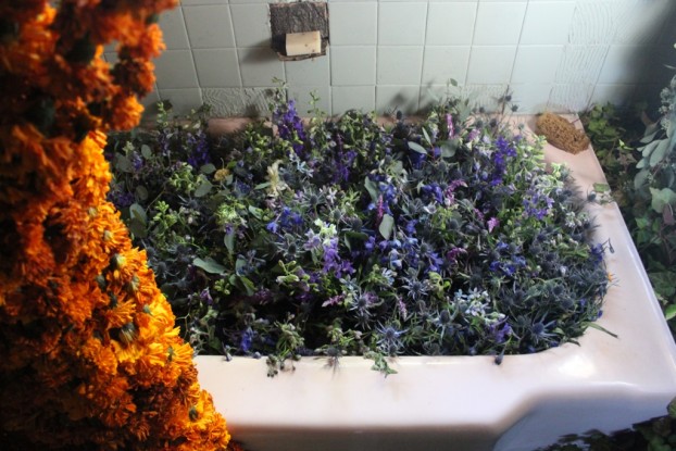 Absolutely LOVE the "blue water" tub in Holly's bathroom installation at the Flower House.